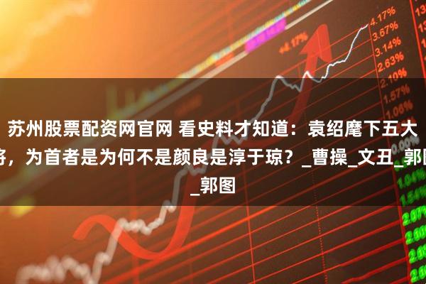 苏州股票配资网官网 看史料才知道:袁绍麾下五大将,为首者是为何不是颜良是淳于琼?_曹操_文丑_郭图